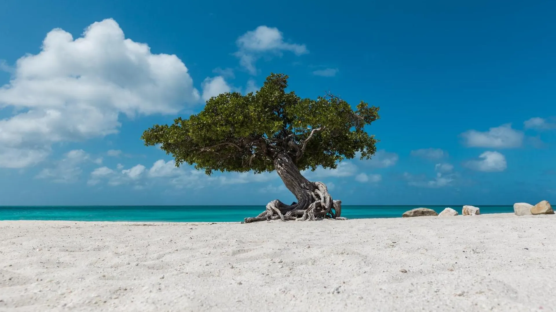Villa Diamante 121 Palm Beach